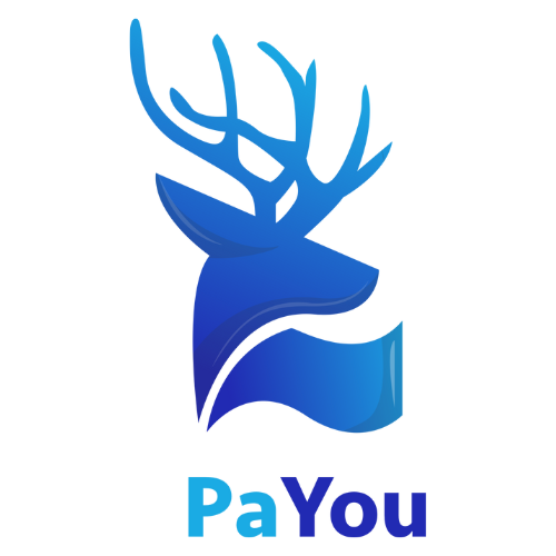 PaYou - Software pembukuan dan manajemen usaha